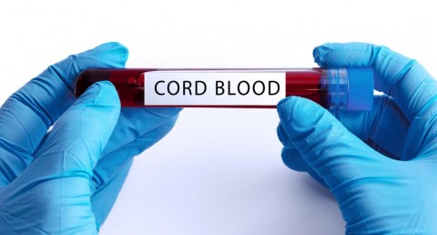What to know about Cord Blood during National Cord Blood Awareness Month